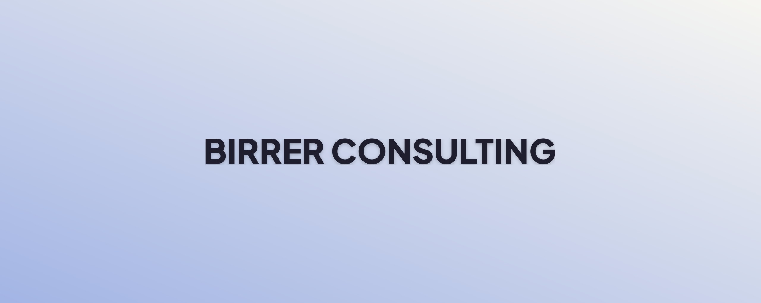 Birrer Consulting website preview